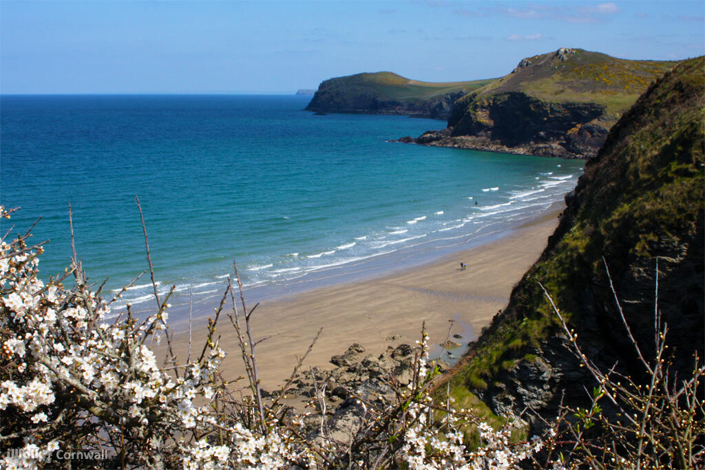 Circular walk from Port Quin to Lundy Bay