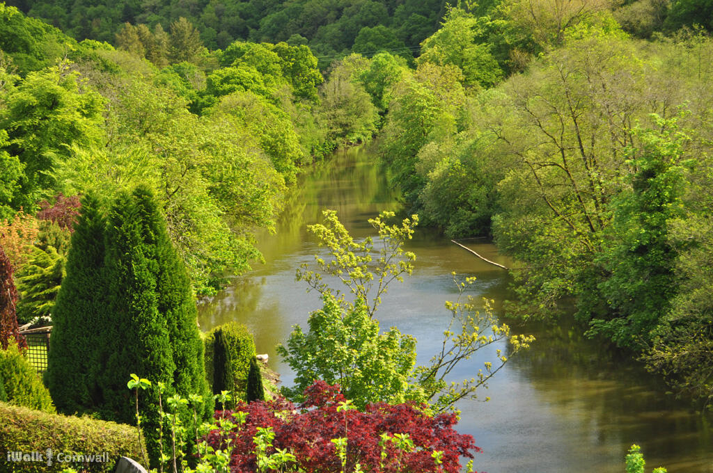 Gunnislake to Chilsworthy circular walk
