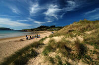 Dunes at Daymer Bay