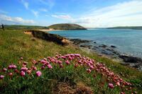 Daymer Bay