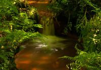 Stream in Metha Woods