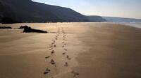 Tregardock Beach