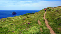 Coast Path from Tregardock